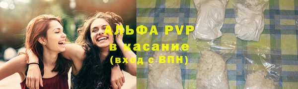 мяу мяу мука Алзамай
